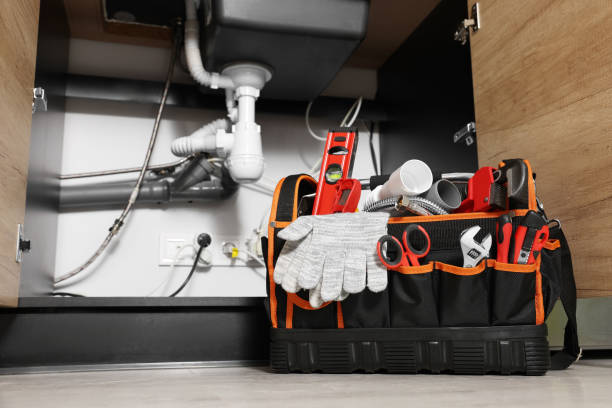 Best Plumbing Services Near Me  in Shorewood, IL